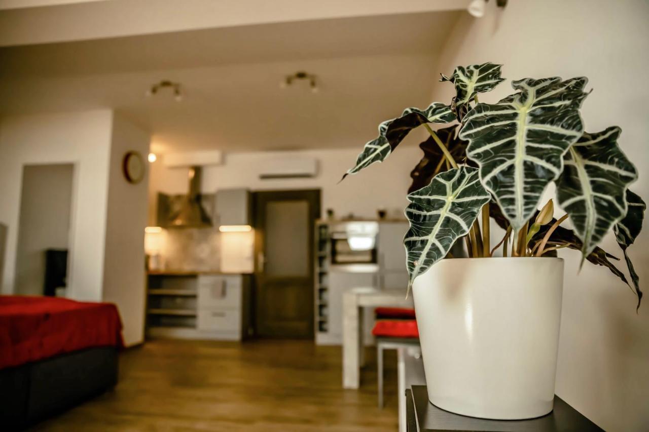 Podkrovni Studio Na Velkem Namesti S Wi-Fi Zdarma Градец-Кралове Экстерьер фото